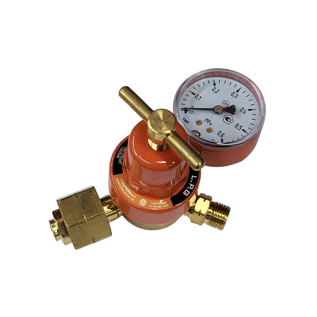 Reductor pentru propan БПО-5ДМ-SR262-LPG RSlimit